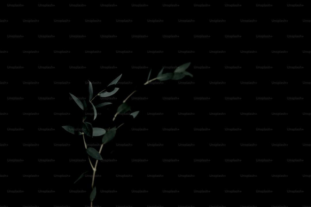 杨幂回应连续三部作品演技获赞